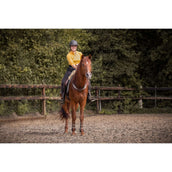 F.R.A. Rienda de Equilibrio Whisper Marron