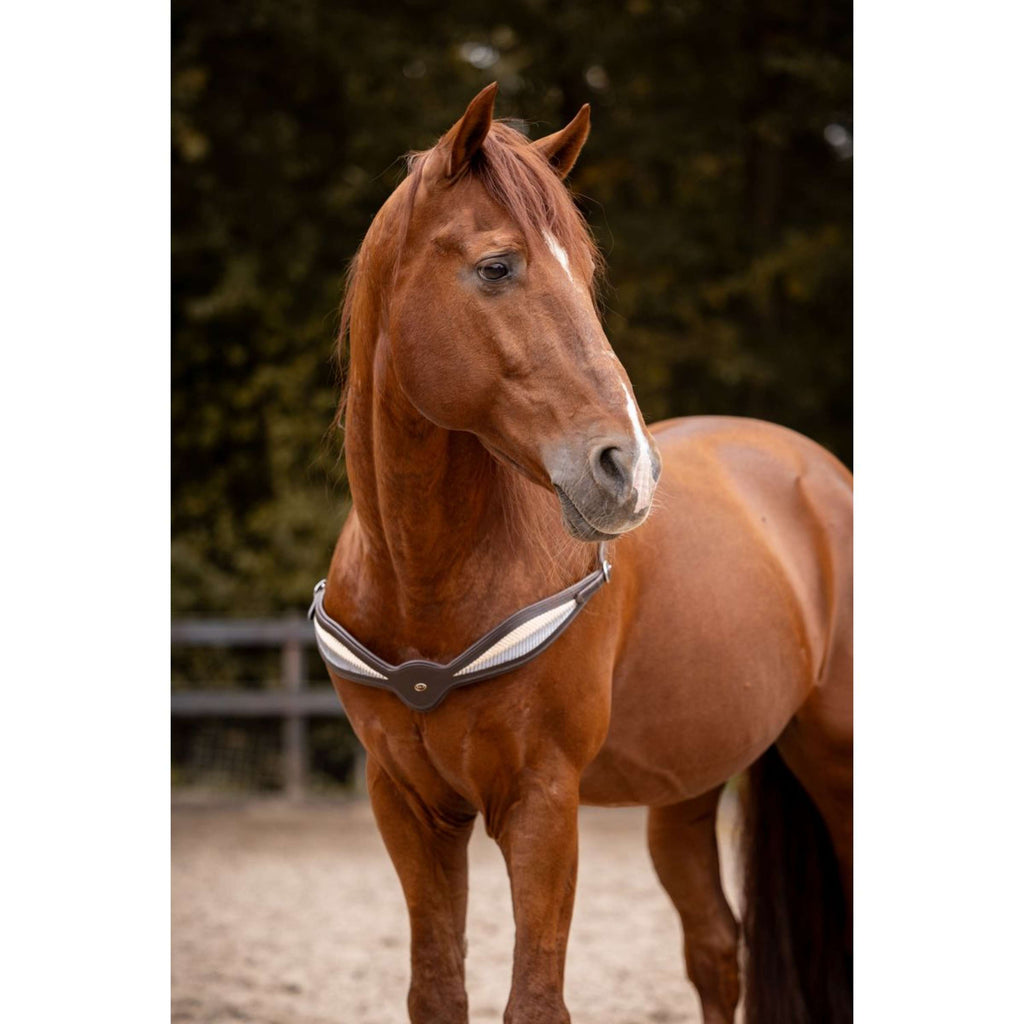 F.R.A. Rienda de Equilibrio Whisper Marron