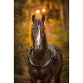 F.R.A. Rienda de Equilibrio Whisper Negro