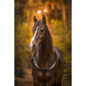 F.R.A. Rienda de Equilibrio Whisper Negro