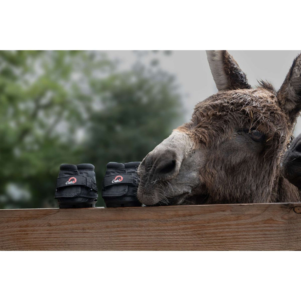 F.R.A. Cavallo Donkey/Long Ear Boot Negro