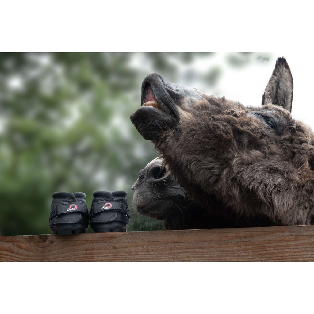 F.R.A. Cavallo Donkey/Long Ear Boot Negro