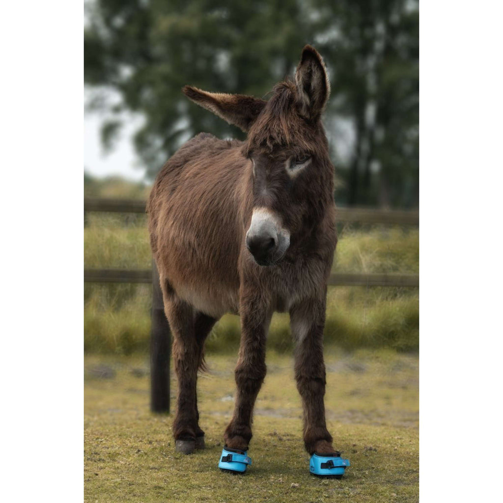 F.R.A. Cavallo Donkey/Long Ear Boot Turquesa