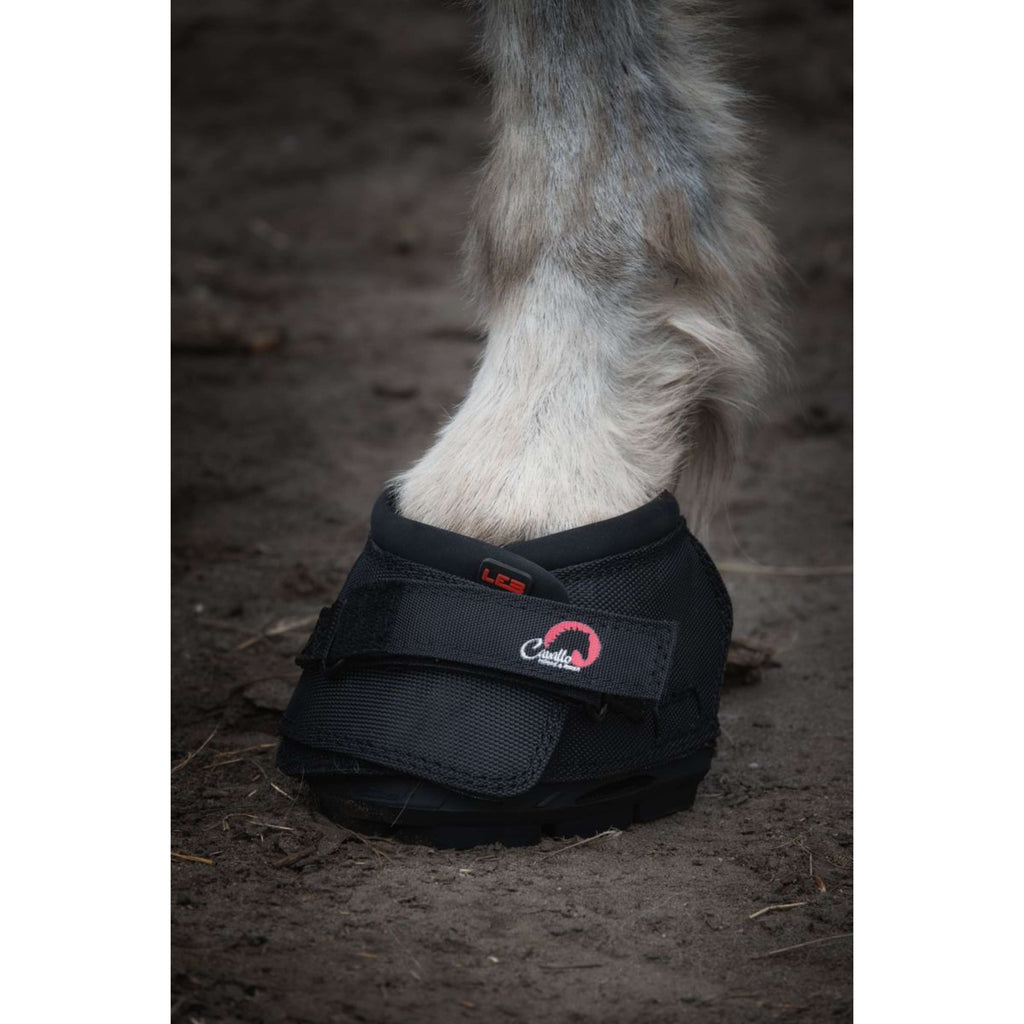 F.R.A. Cavallo Donkey/Long Ear Boot Negro