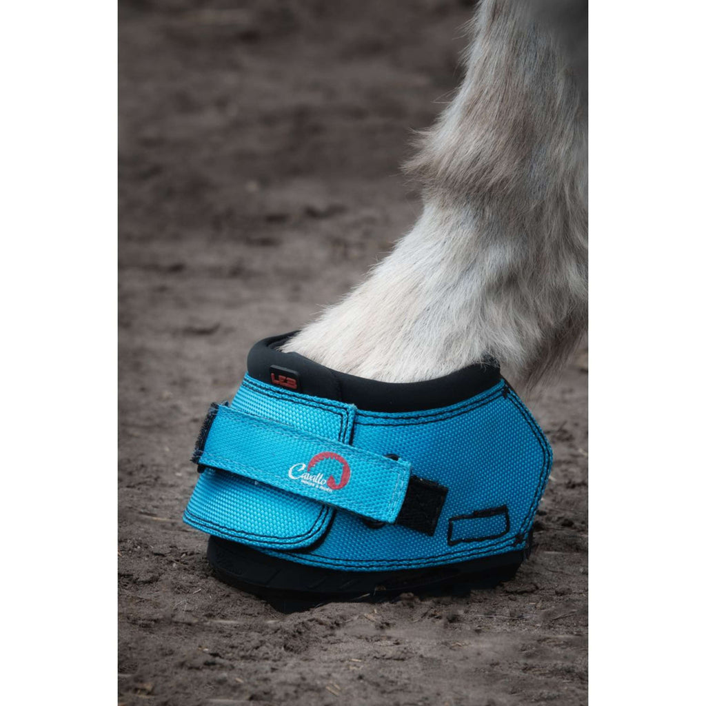 F.R.A. Cavallo Donkey/Long Ear Boot Turquesa