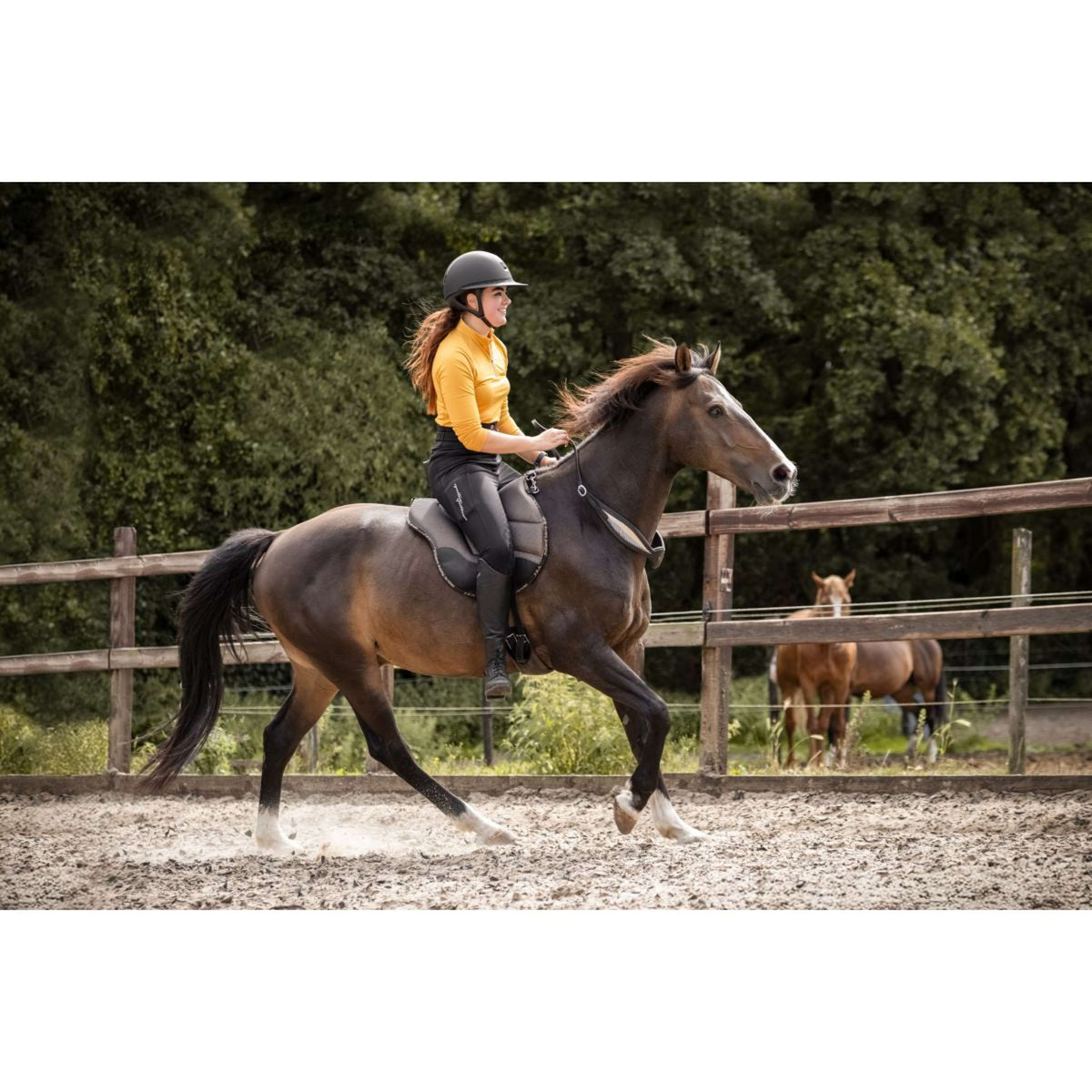 F.R.A. Bareback Pad Dardo Basic Bling Bling