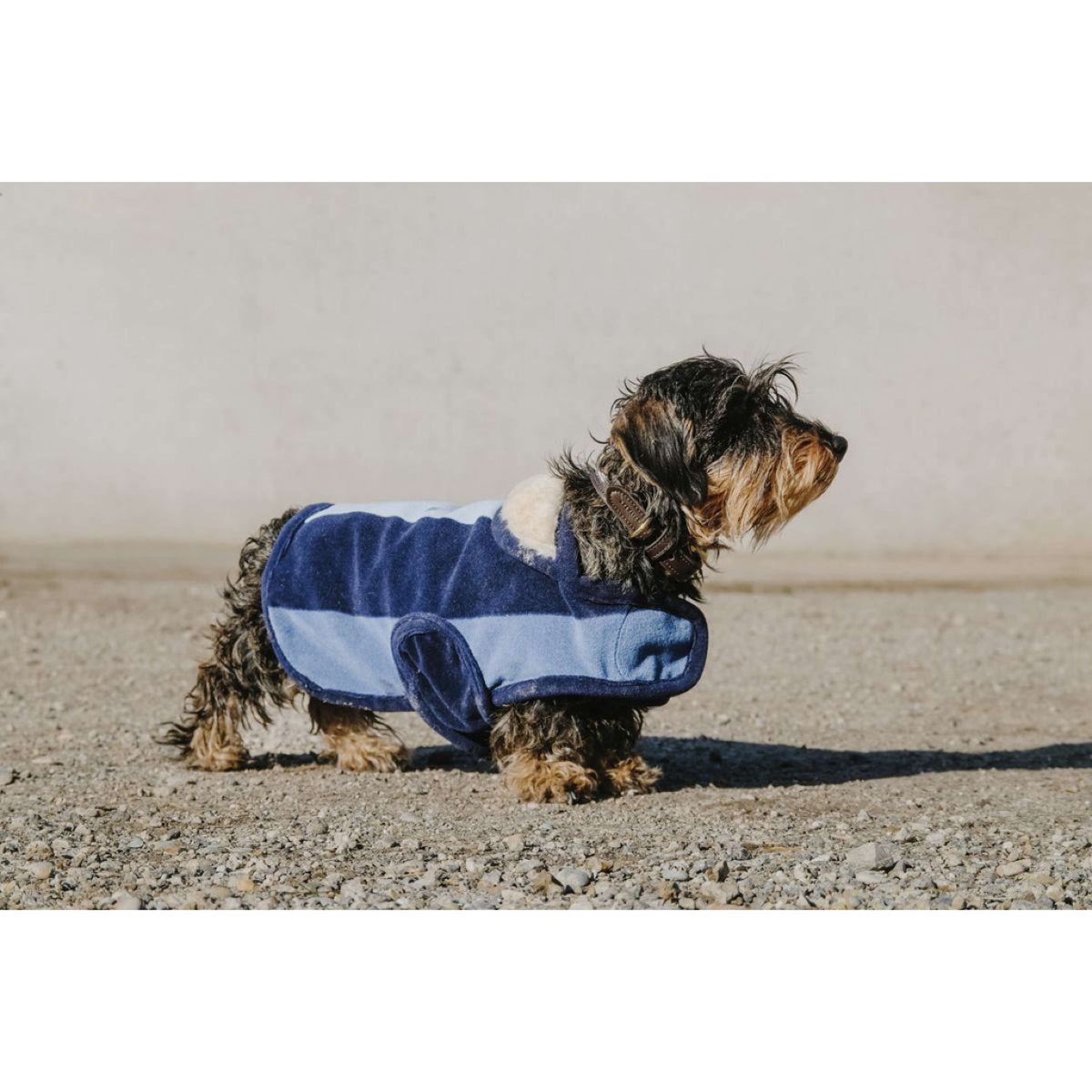 EQUITHÈME Manta para Perros New Market Navy