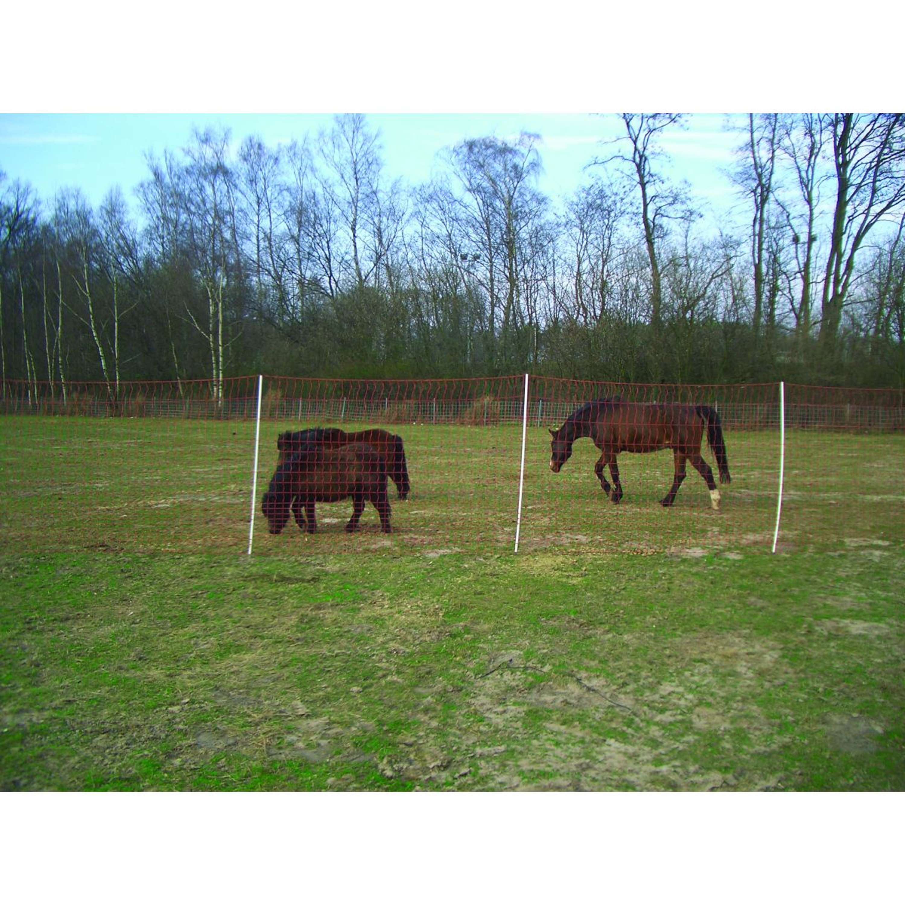 Euro-Netz Cercado Eléctrico Mustang Malla Fina