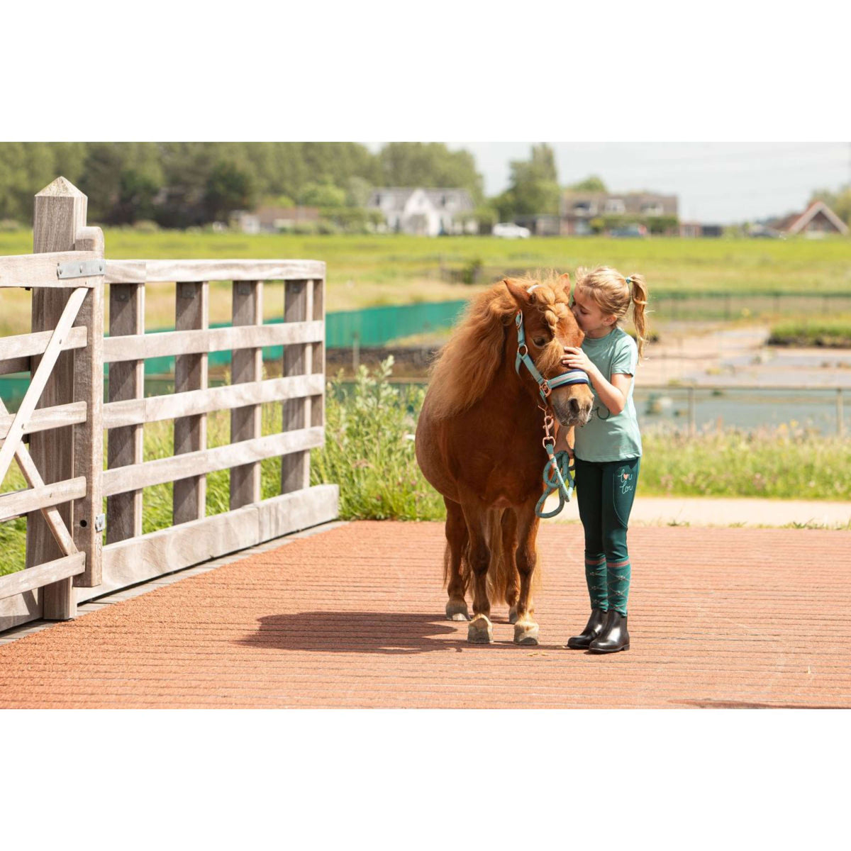 Harry's Horse Legging de Equitación LouLou25 Daisy Full Grip Bayberry