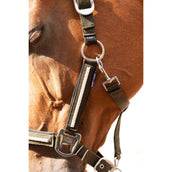 Harry's Horse Juego de Cabestro Valli Rosin