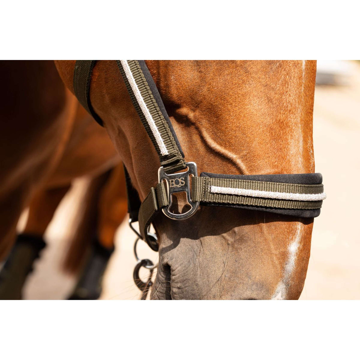 Harry's Horse Juego de Cabestro Valli Rosin