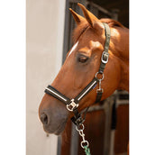 Harry's Horse Juego de Cabestro Valli Rosin