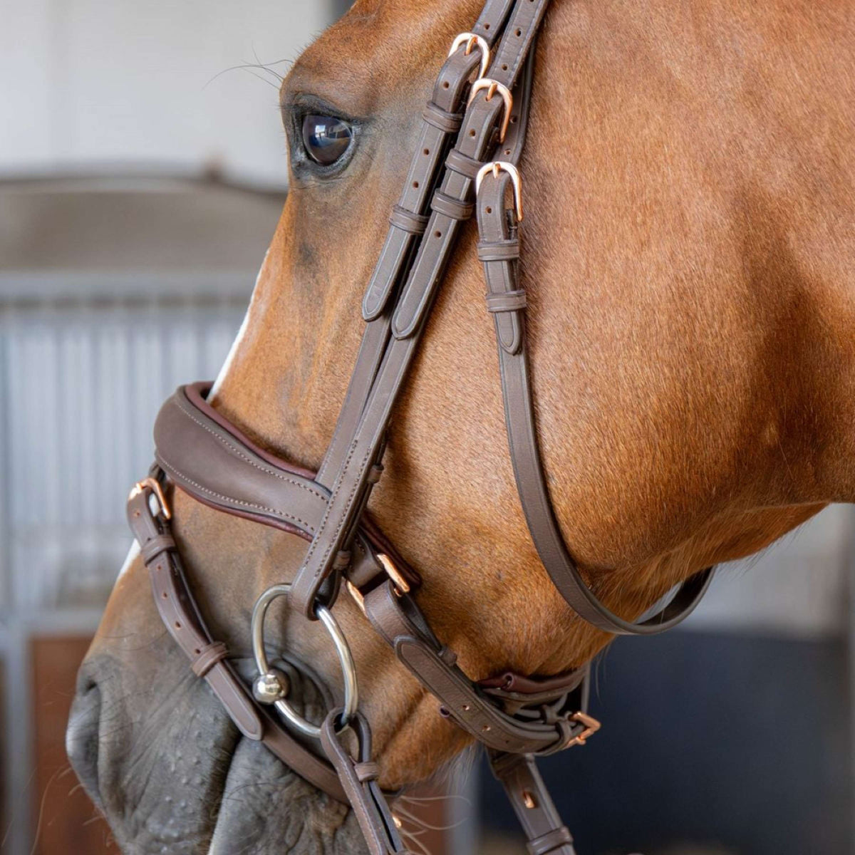 Harry's Horse Brida Bombastic Crystals Marron