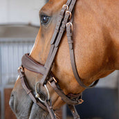 Harry's Horse Brida Bombastic Crystals Marron