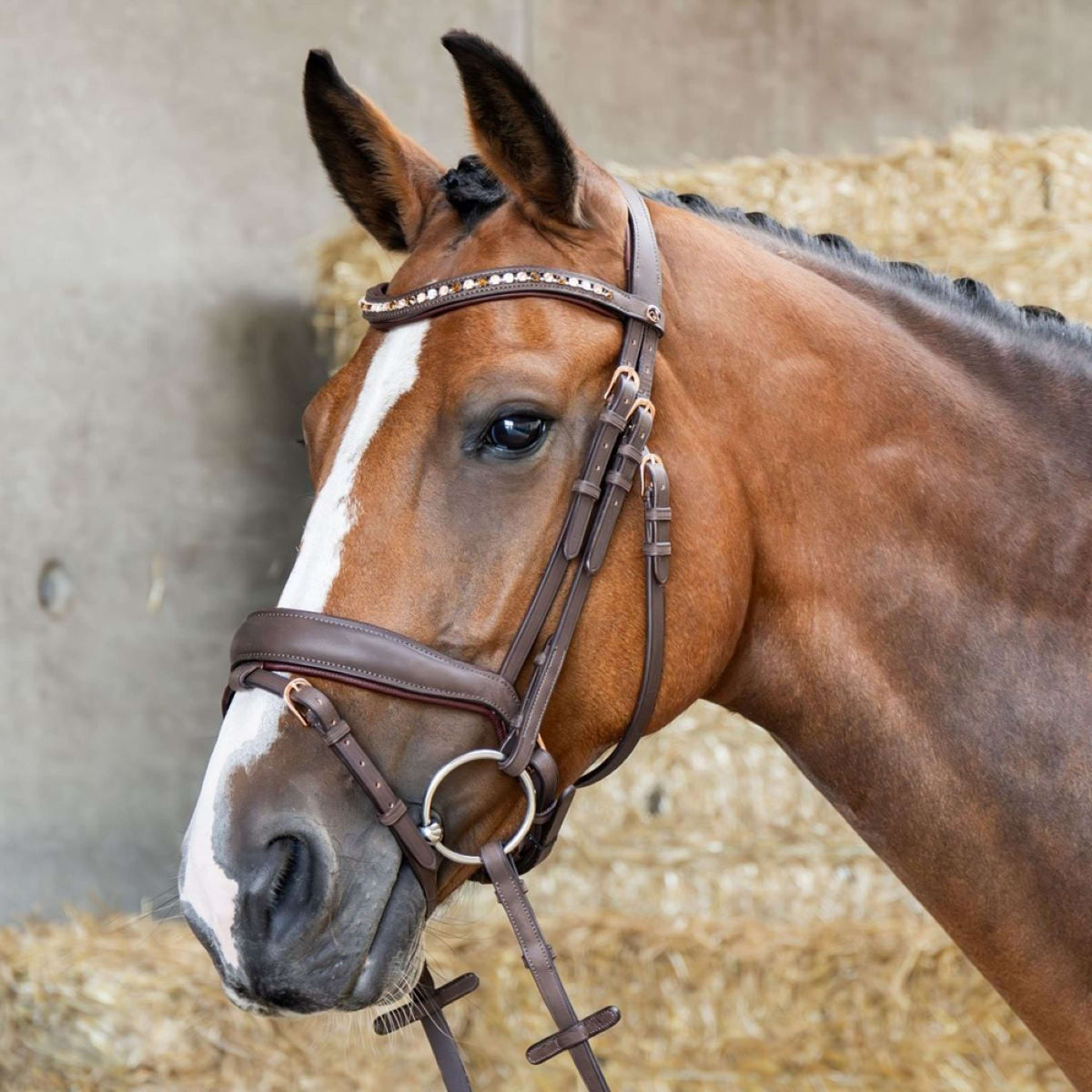 Harry's Horse Brida Bombastic Crystals Marron