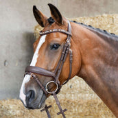 Harry's Horse Brida Bombastic Crystals Marron