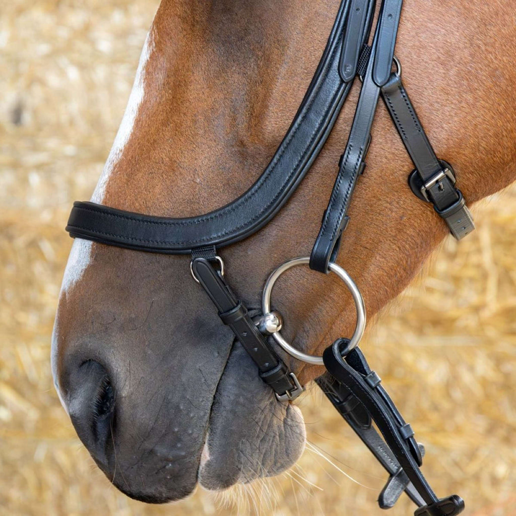 Harry's Horse Brida Anatomic Black Crystal Negro