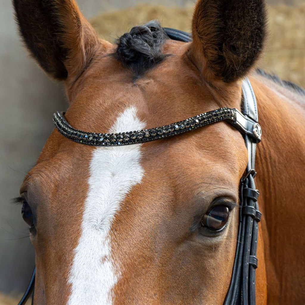 Harry's Horse Brida Anatomic Black Crystal Negro