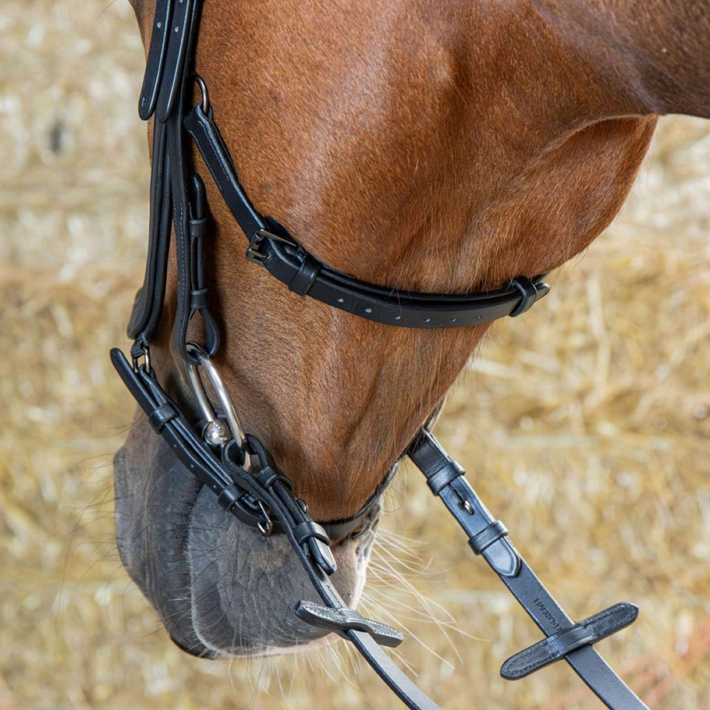 Harry's Horse Brida Anatomic Black Crystal Negro