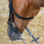 Harry's Horse Brida Anatomic Black Crystal Negro