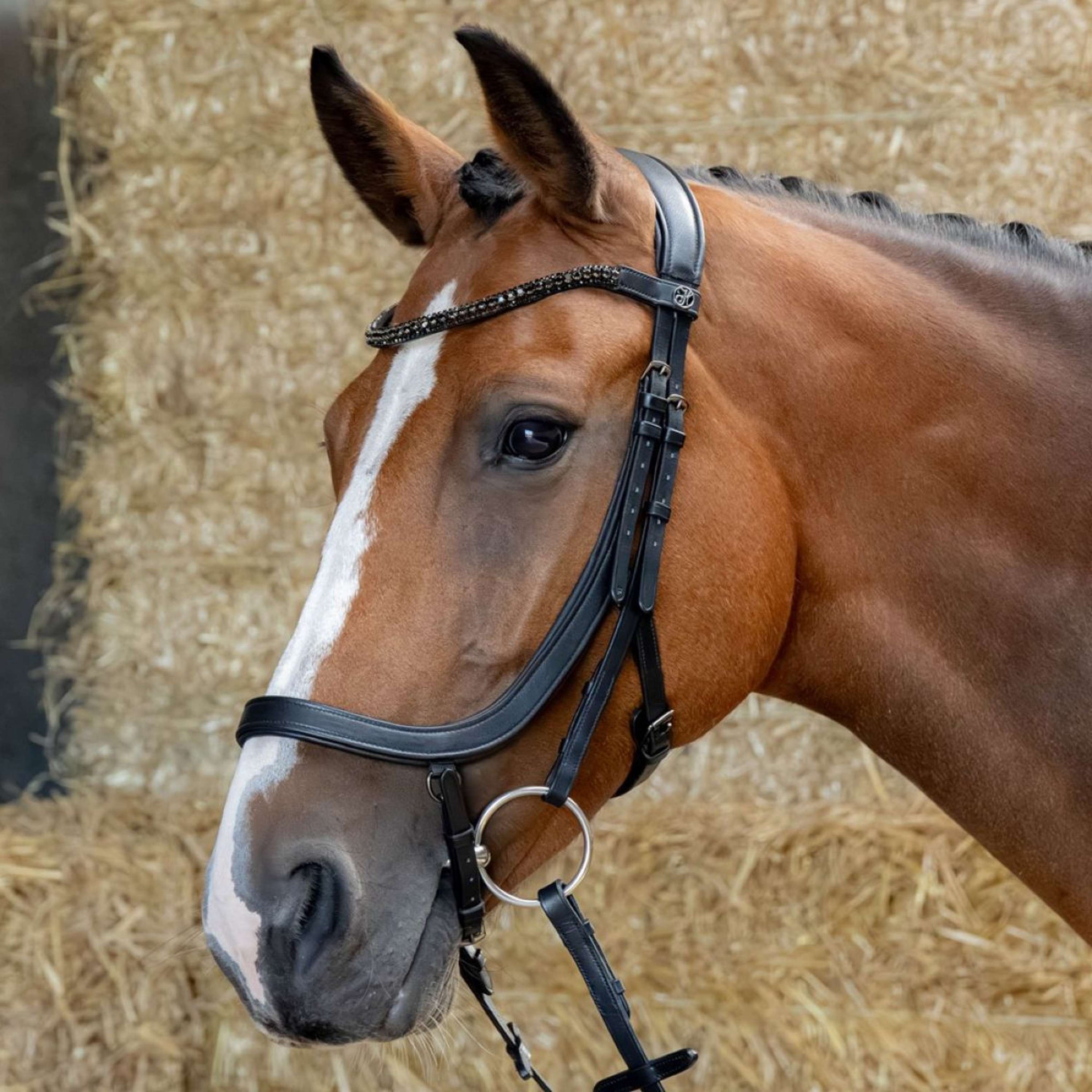 Harry's Horse Brida Anatomic Black Crystal Negro Harry's Horse Brida Anatomic Black Crystal Negro