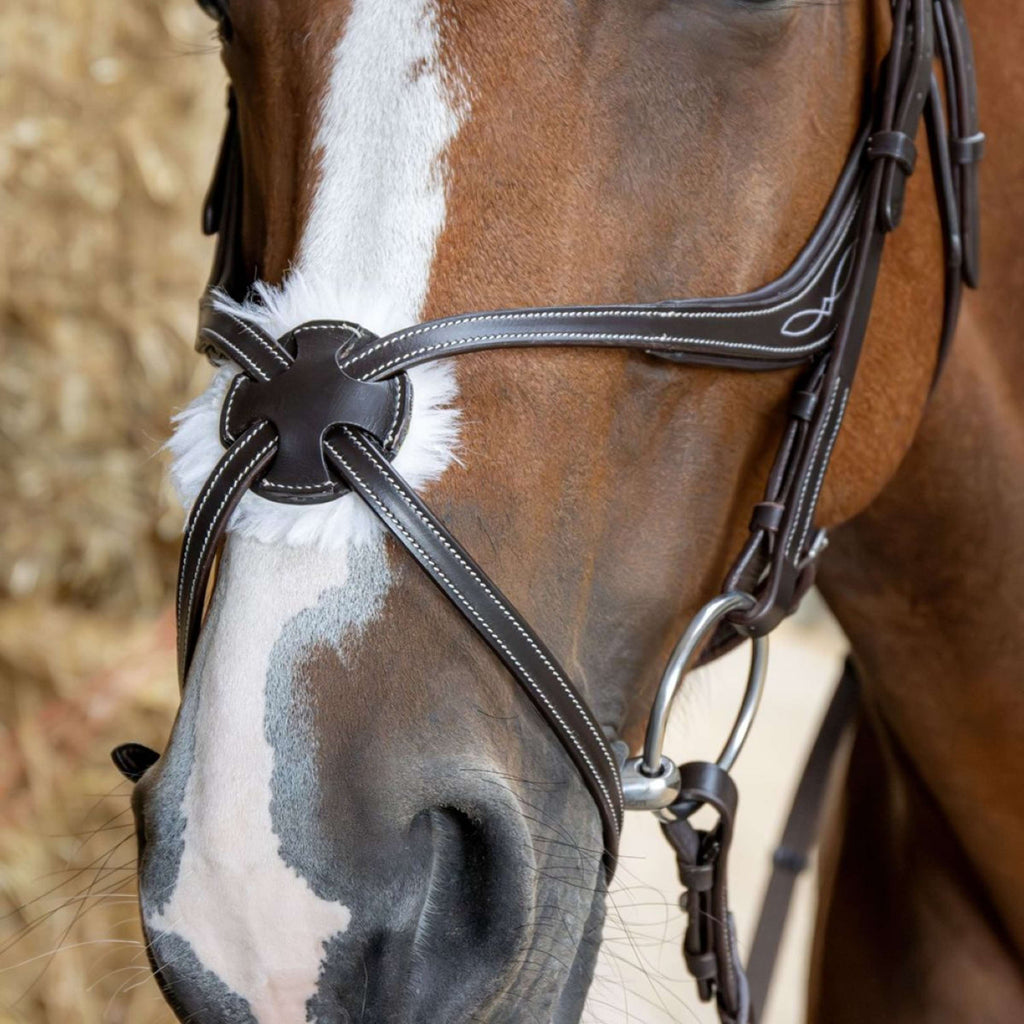 Harry's Horse Brida Mexicana Anatomic Marron