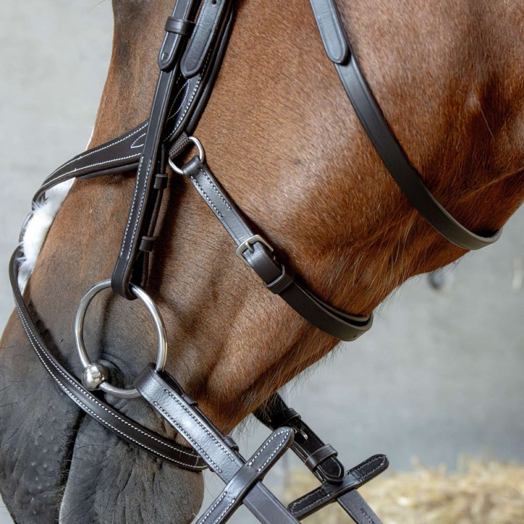 Harry's Horse Brida Mexicana Anatomic Marron