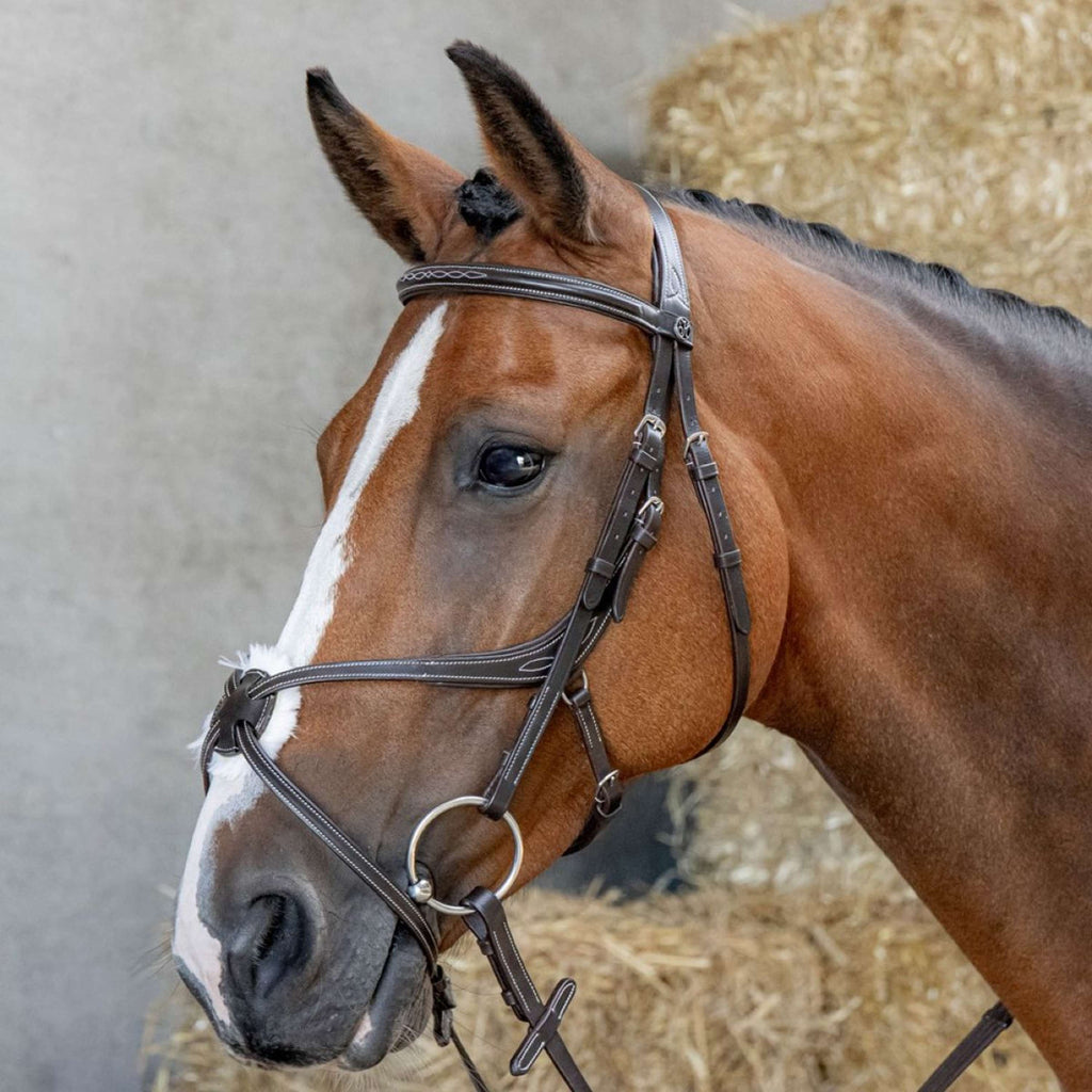 Harry's Horse Brida Mexicana Anatomic Marron