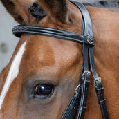 Harry's Horse Brida Mexicana Anatomic Negro