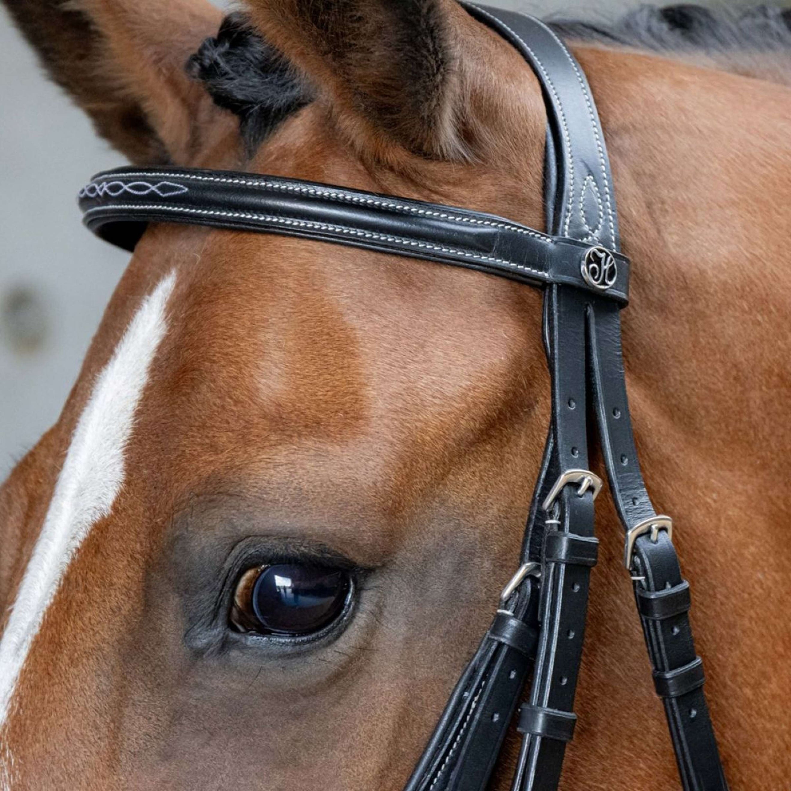 Harry's Horse Brida Mexicana Anatomic Negro