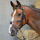 Harry's Horse Brida Mexicana Anatomic Negro