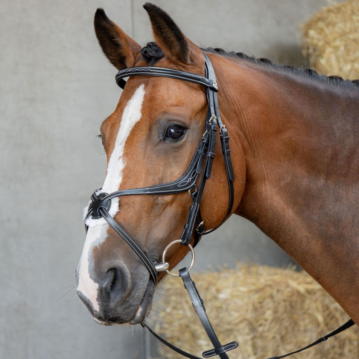 Harry's Horse Brida Mexicana Anatomic Negro