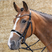 Harry's Horse Brida Doble Soft Rosegold Negro