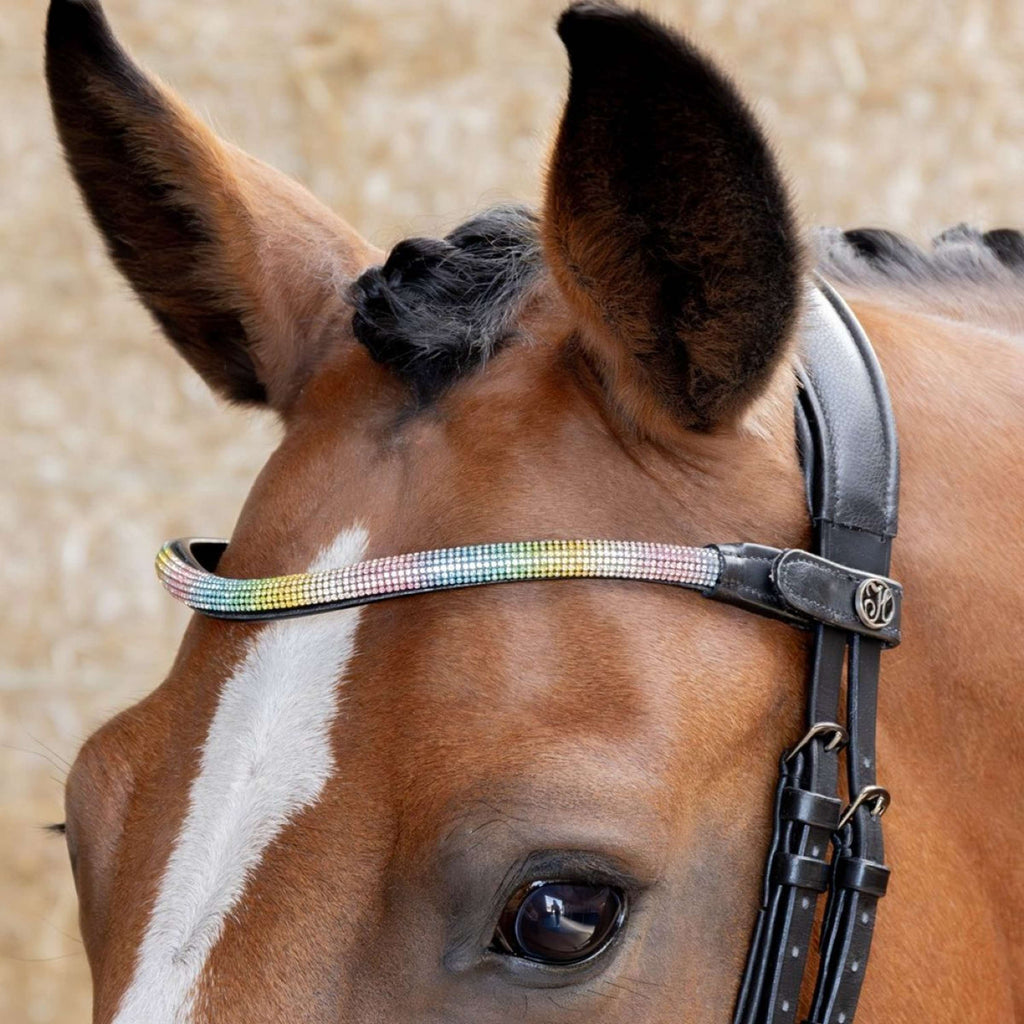 Harry's Horse Frontal Rainbow Arcoiris