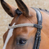 Harry's Horse Frontal Clincher Plata