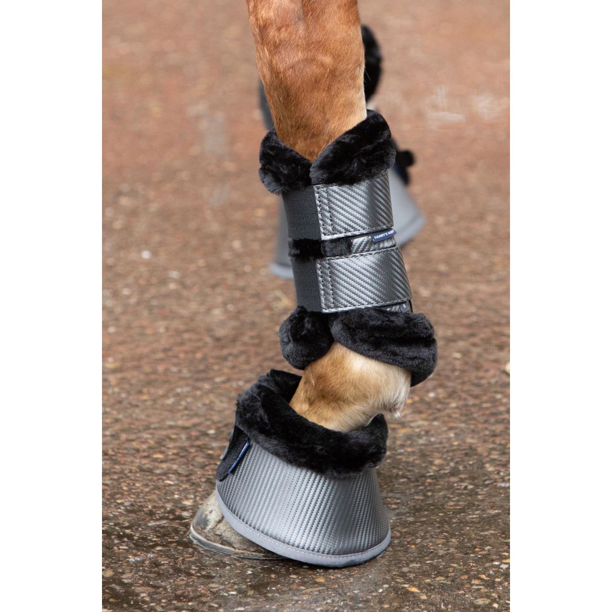 Harry's Horse Protectores de piernas Denici Cavalli Shadow Negro/Arena