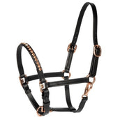 Harry's Horse Cabezada Crystal Poni/Potro Negro/Oro Rosa