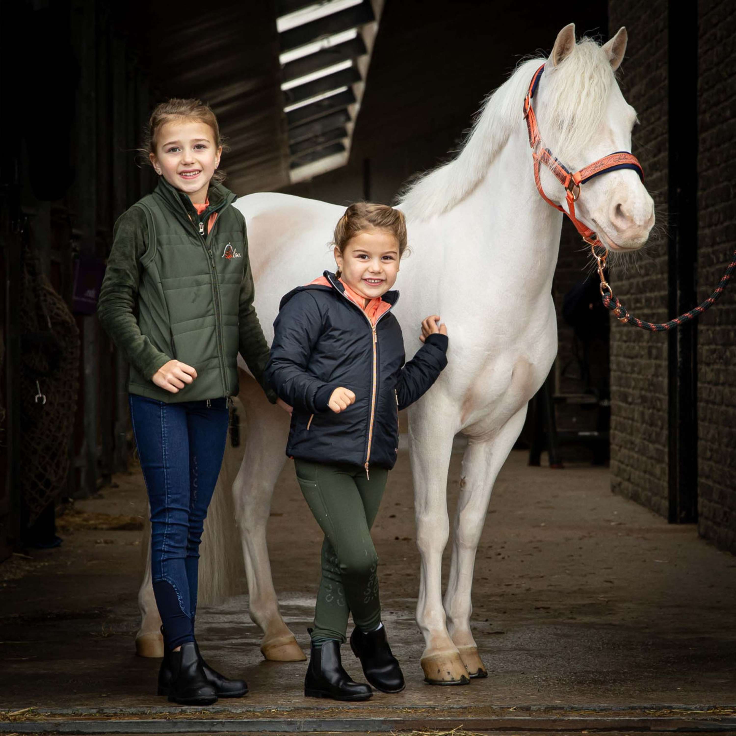 Harry's Horse Juego de Cabestro LouLou Crabapple