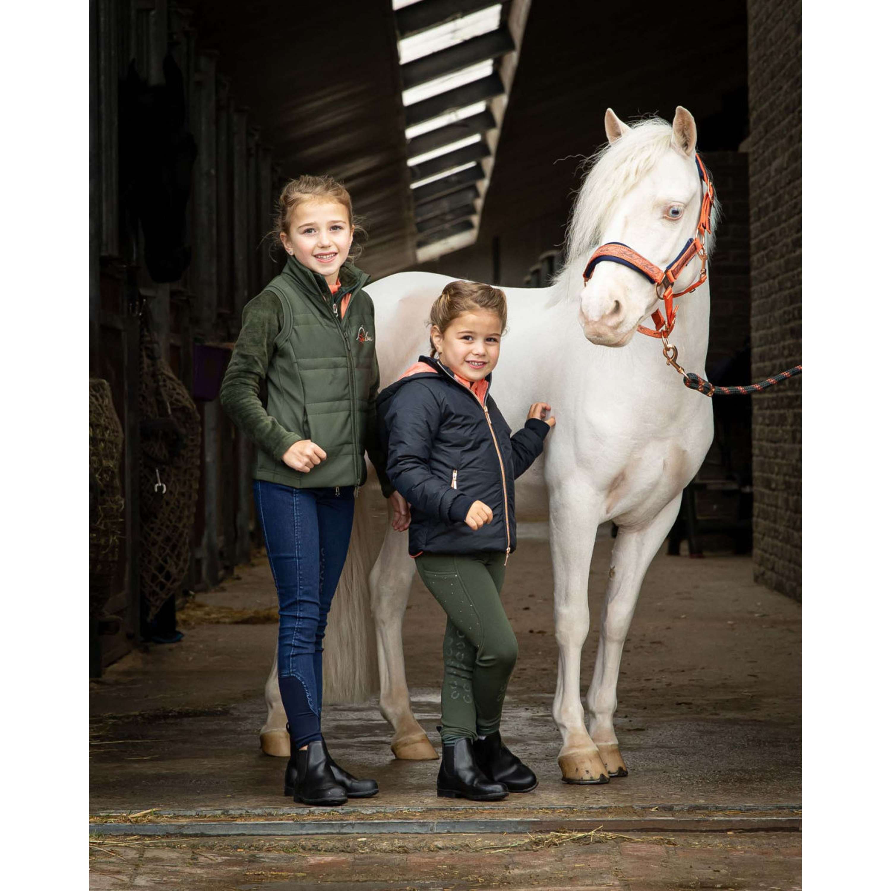 Harry's Horse Juego de Cabestro LouLou Crabapple