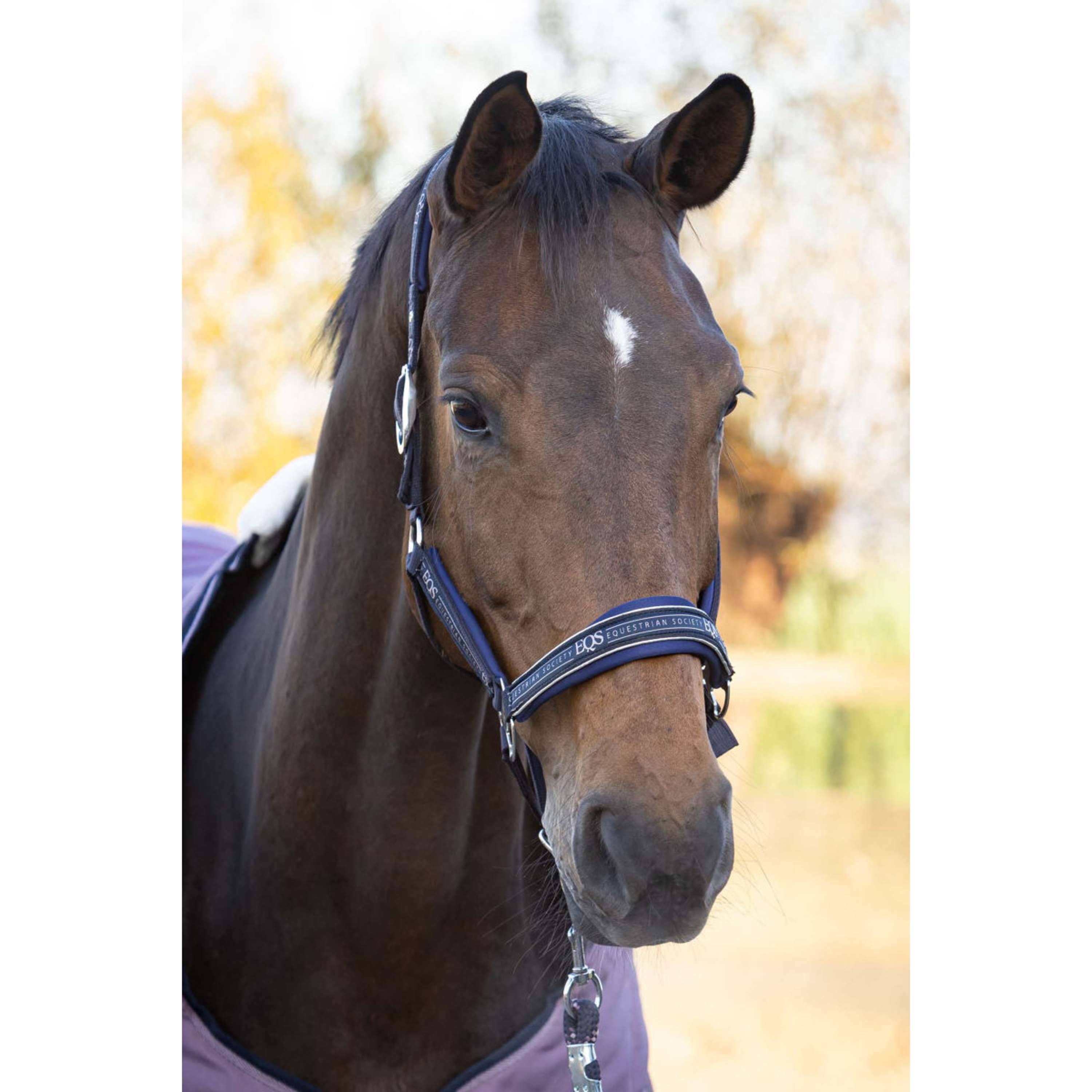 Harry's Horse Juego de Cabestro EQS Dark Navy