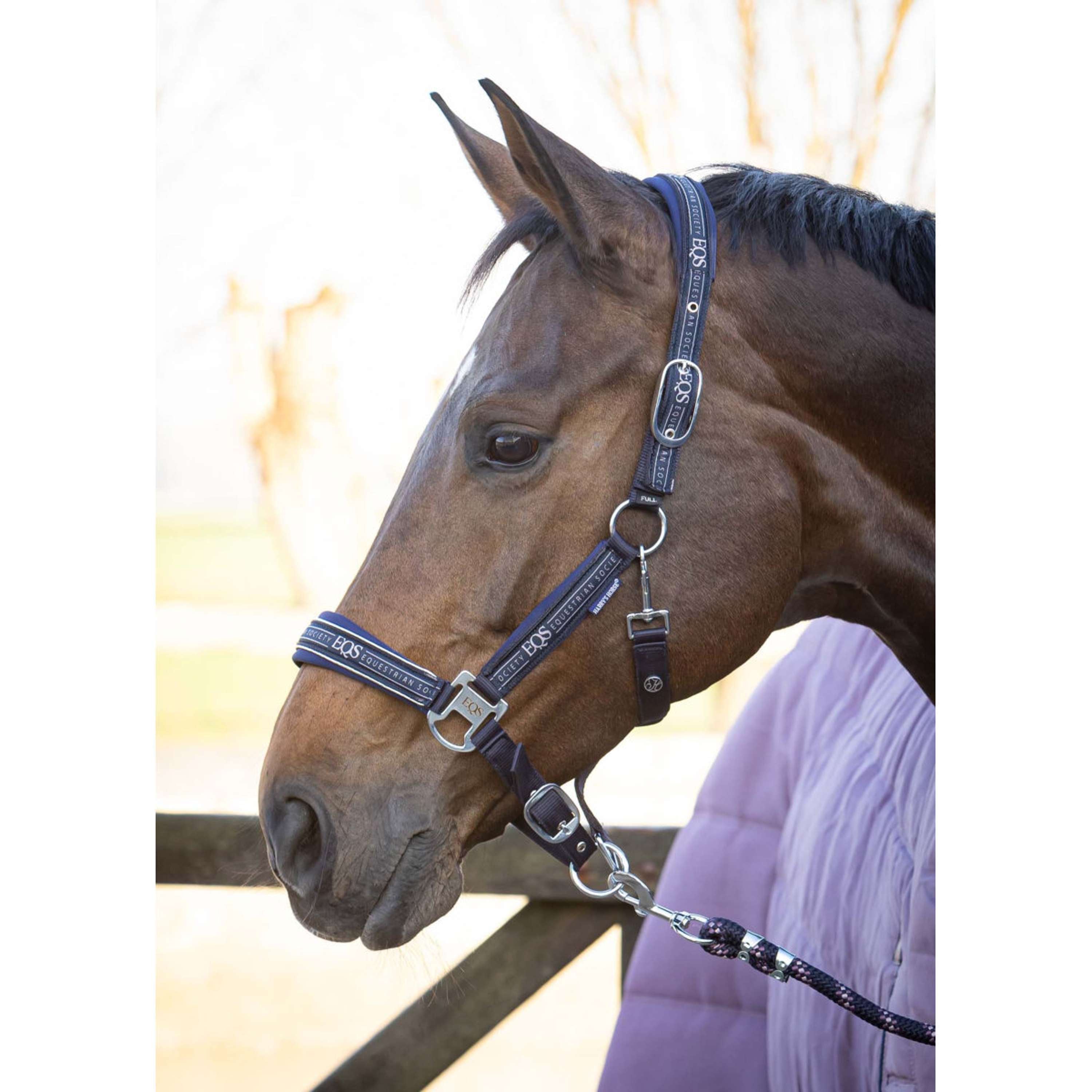 Harry's Horse Juego de Cabestro EQS Dark Navy