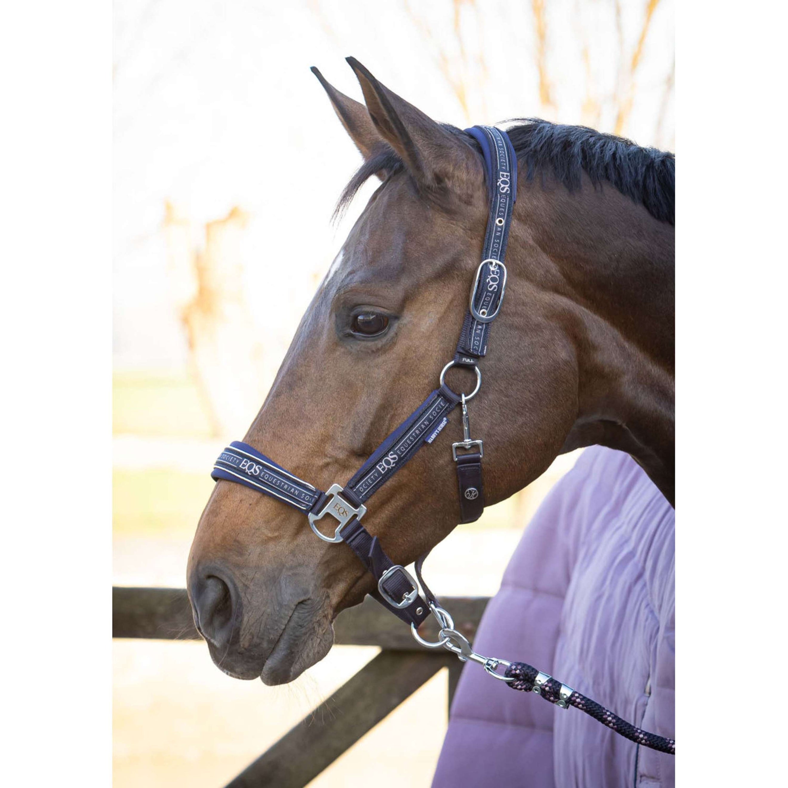 Harry's Horse Juego de Cabestro EQS Dark Navy