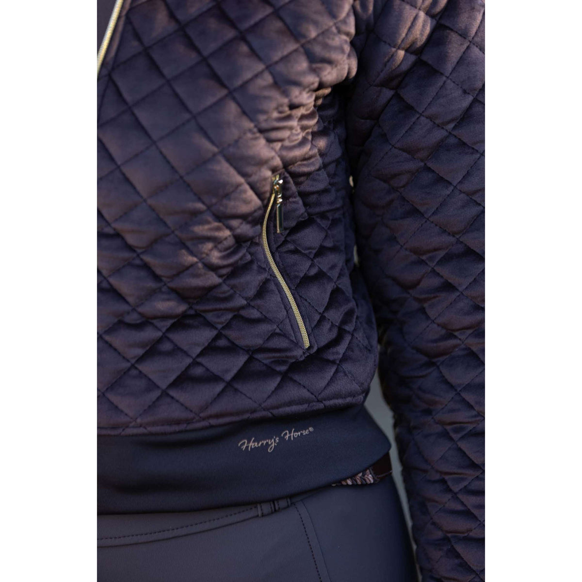 Harry's Horse Chaqueta Bomber Classy Bracken