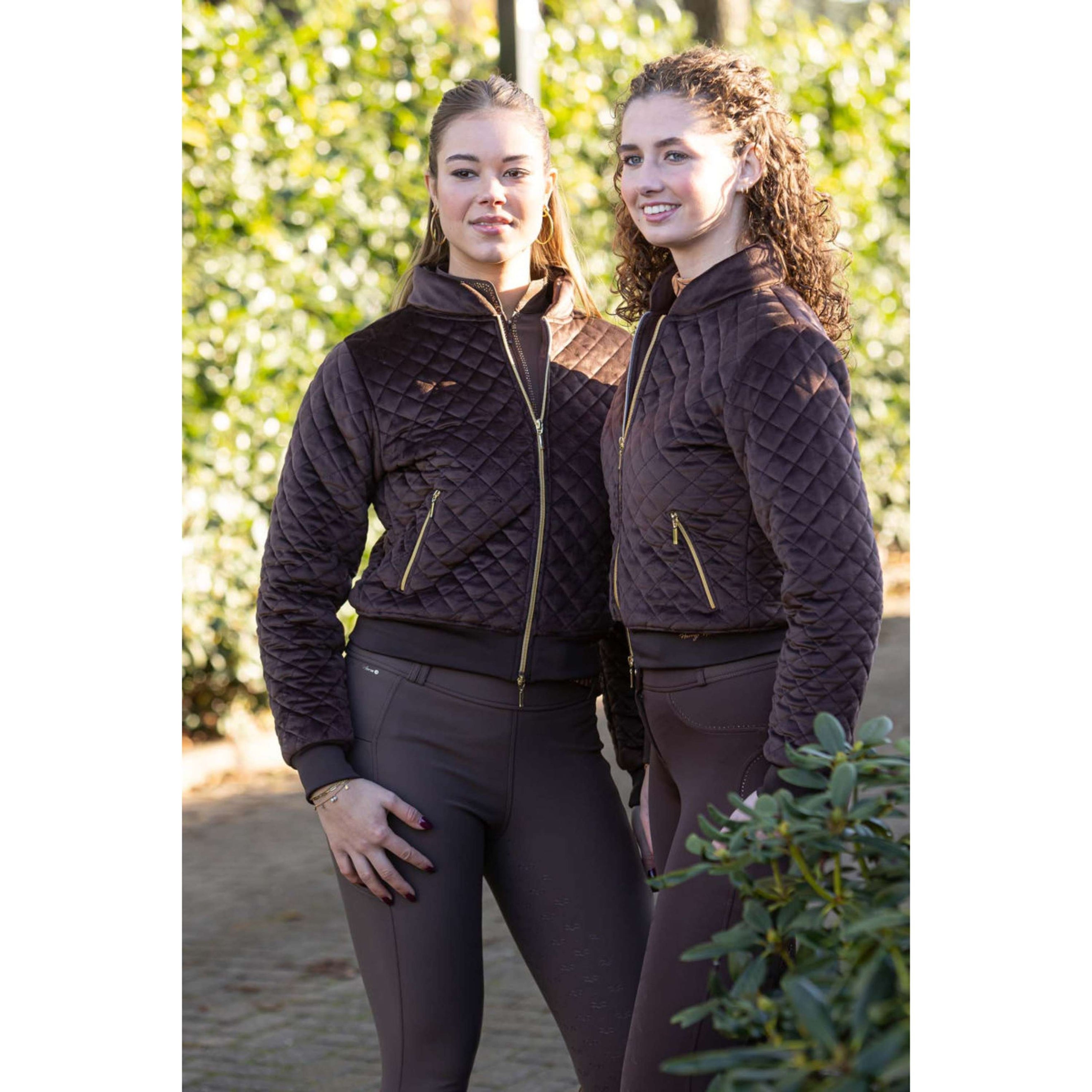 Harry's Horse Chaqueta Bomber Classy Bracken Harry's Horse Chaqueta Bomber Classy Bracken