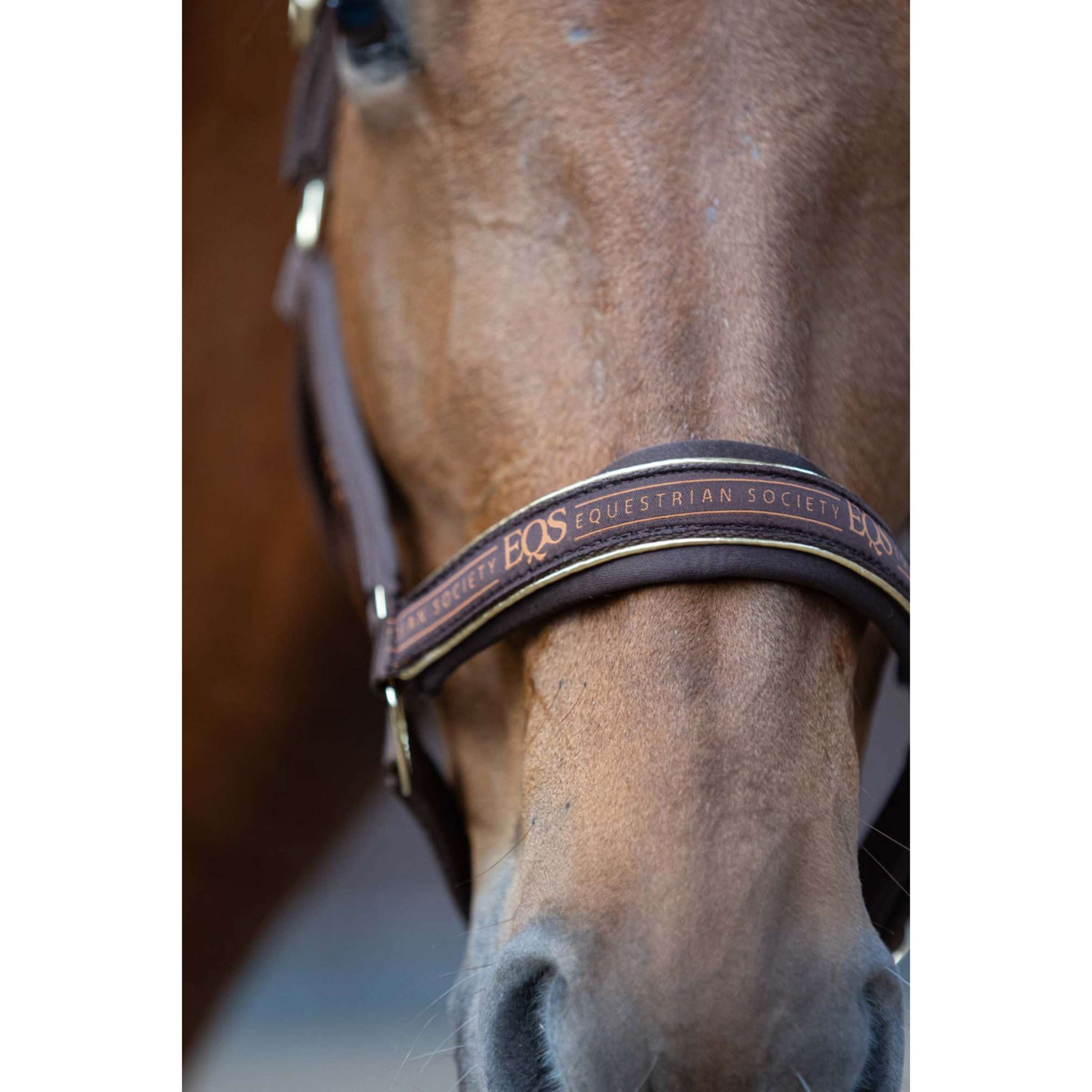Harry's Horse Juego de Cabestro EQS Bracken