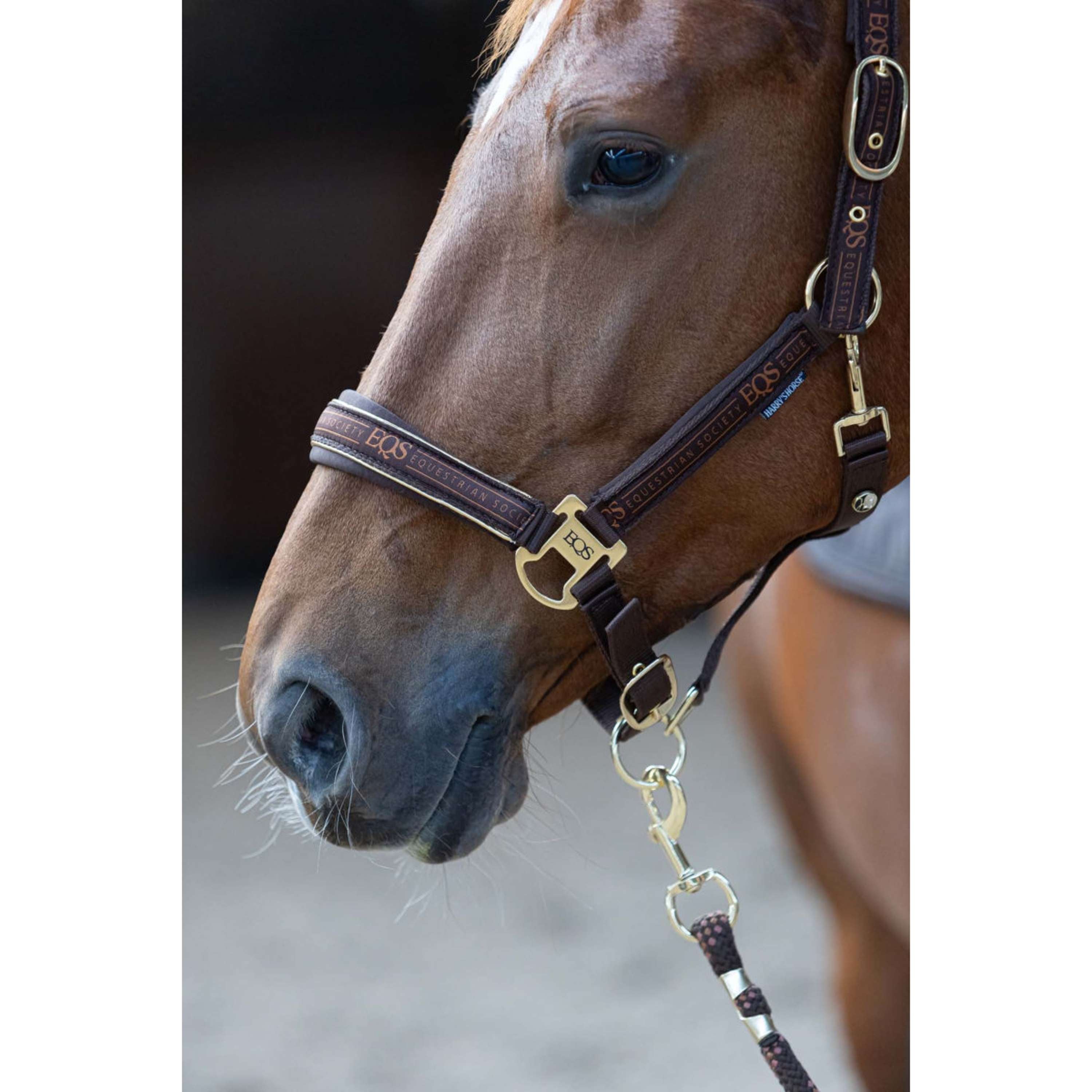 Harry's Horse Juego de Cabestro EQS Bracken