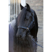 Harry's Horse Juego de Cabestro EQS Black-Sand