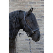 Harry's Horse Juego de Cabestro EQS Black-Sand
