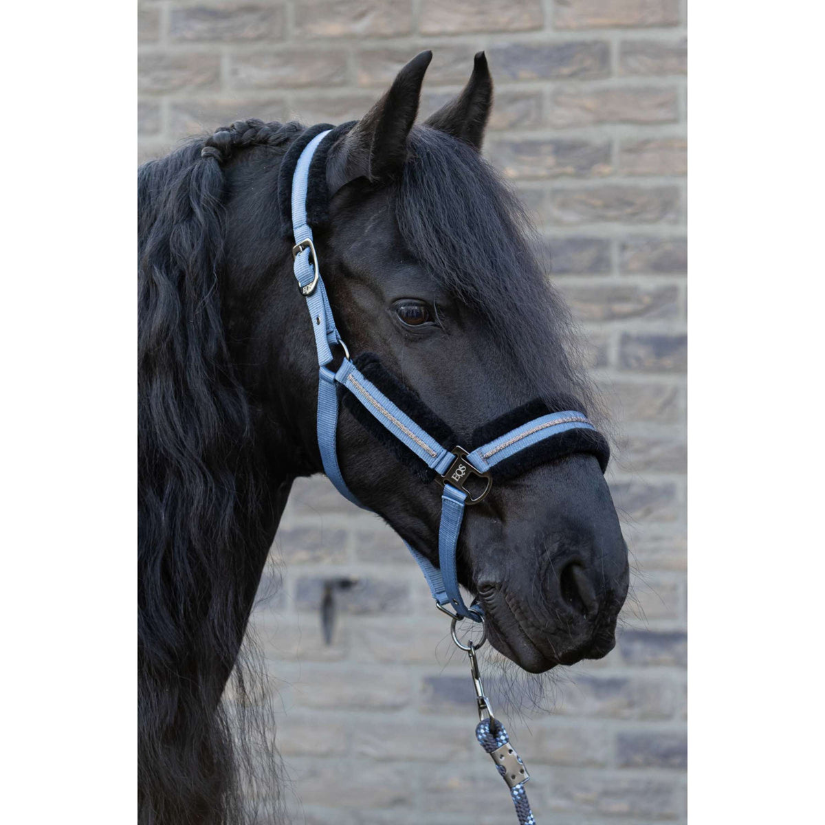 Harry's Horse Juego de Cabestro Soft Flint Stone