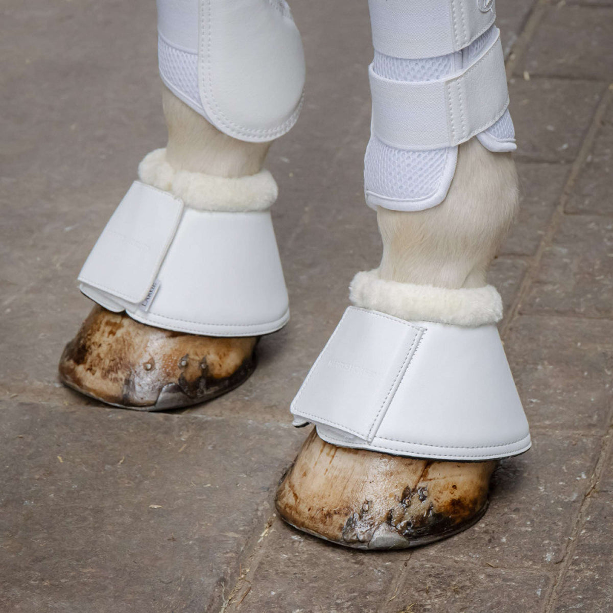 Harry's Horse Botas para Caballos Excellent Faux Fur Blanco
